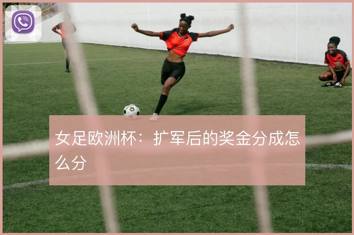 女足欧洲杯:扩军后的奖金分成怎么分